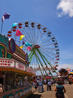 county fair